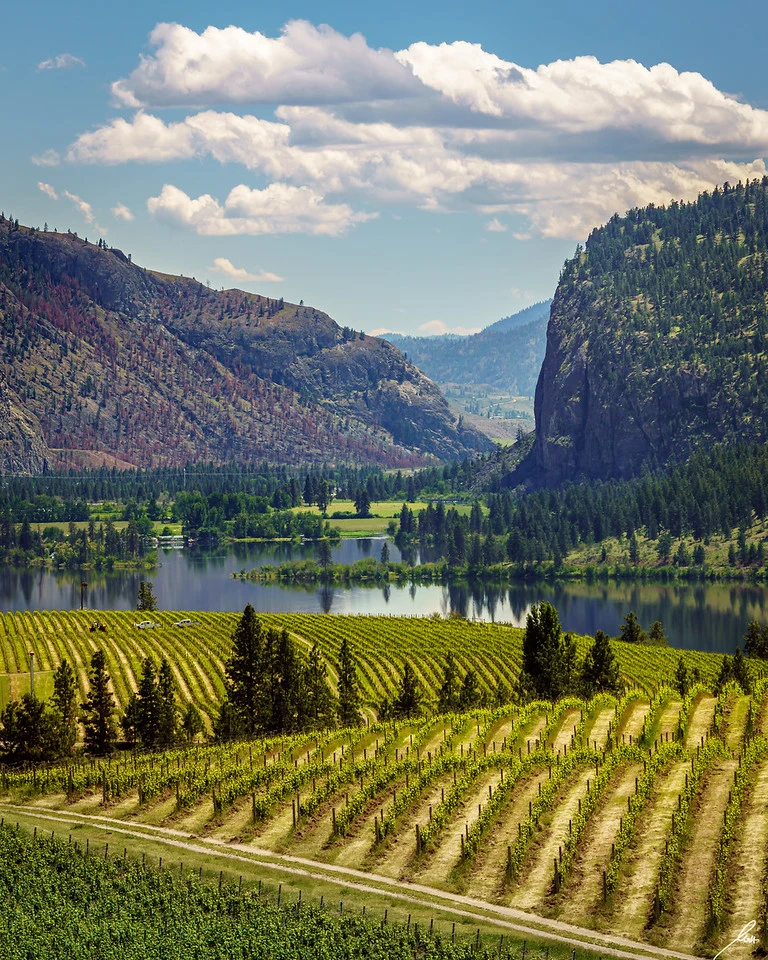 Spring in the Okanagan Valley
