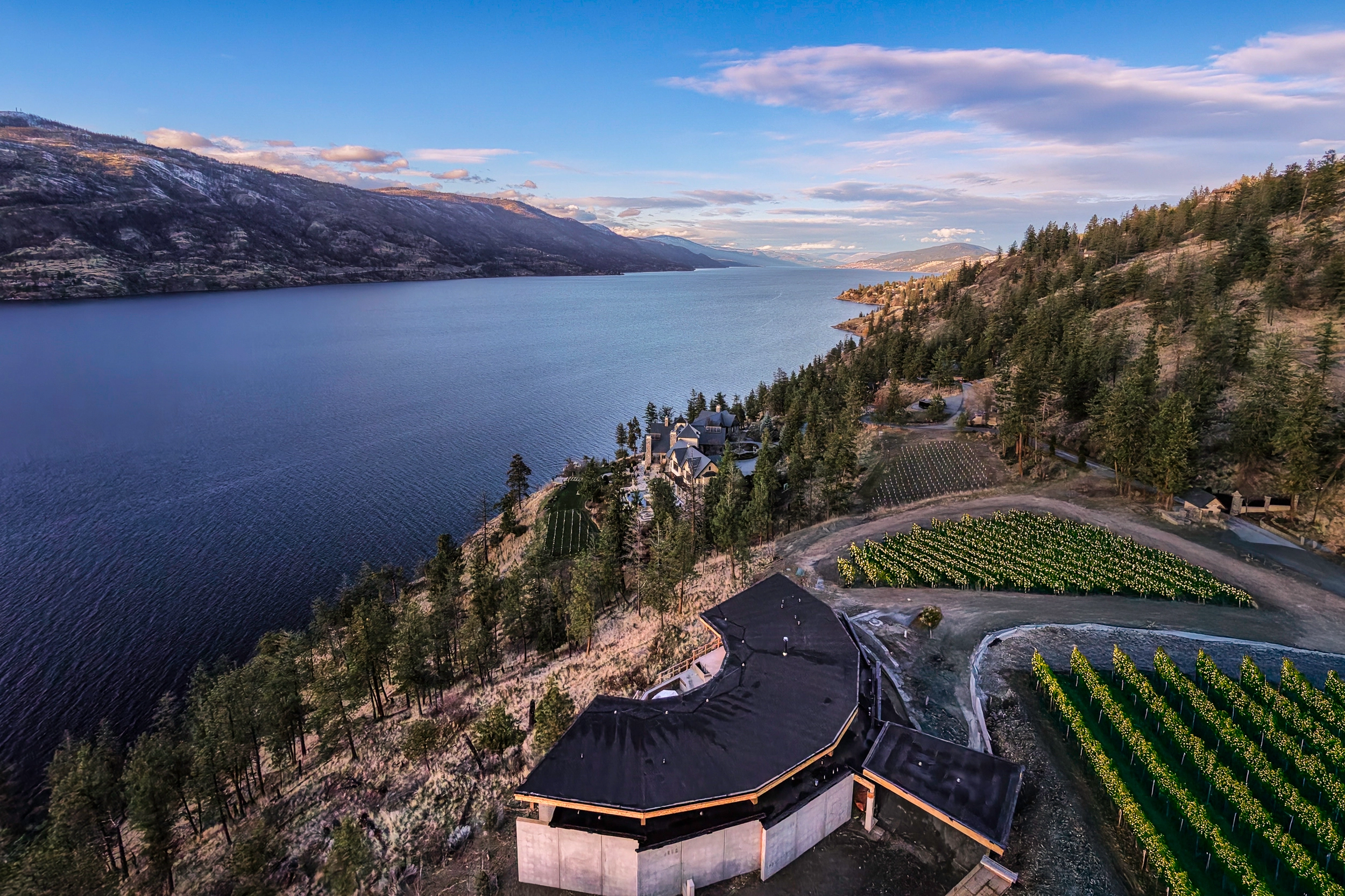 Estate Villa aerial view