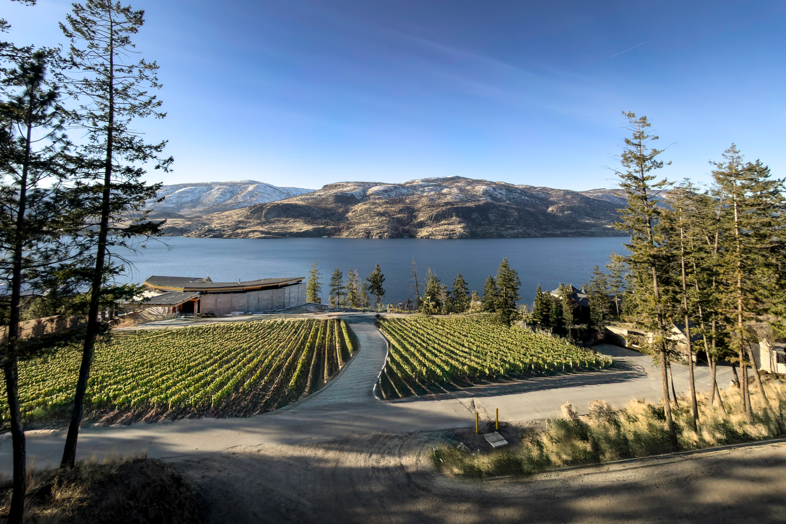 Estate Villa exterior